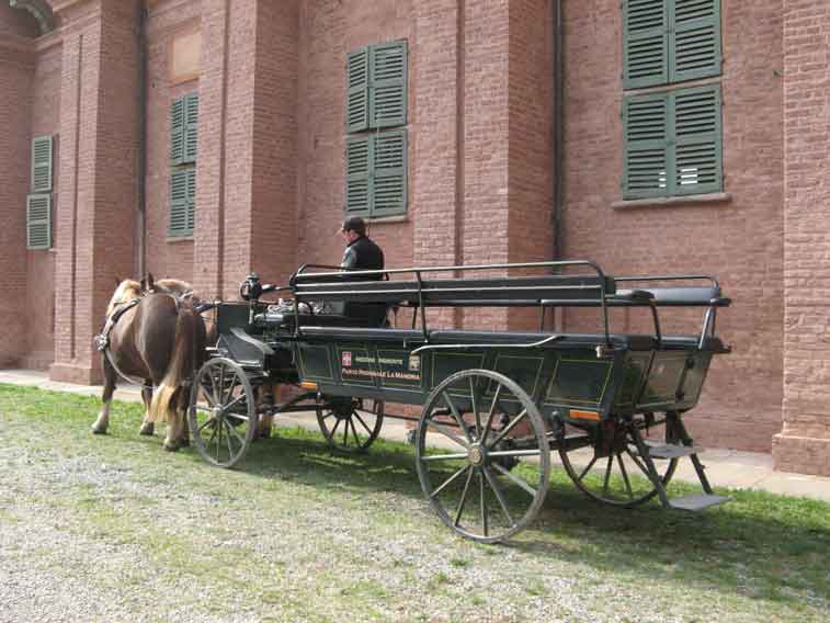 14 ottobre 2012.Parco della Mandria-Carrozza a cavalli al Borgo Castello