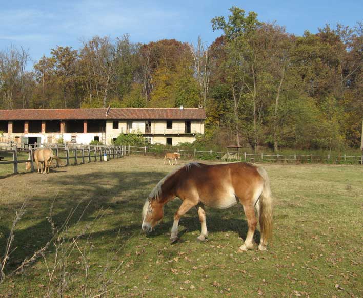 9 novembre 2012-Parco della Mandria-Cascina Romitaggio