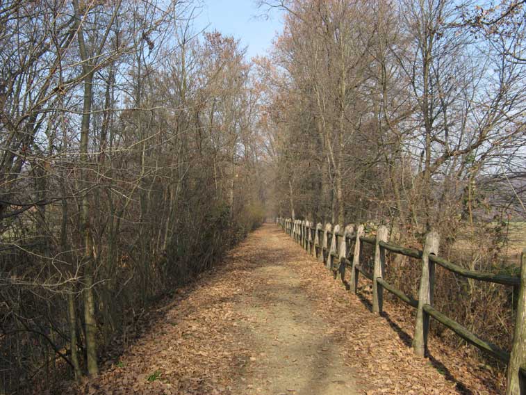 23 novembre 2012-Parco della Mandria-Vialetto cascina Vittoria