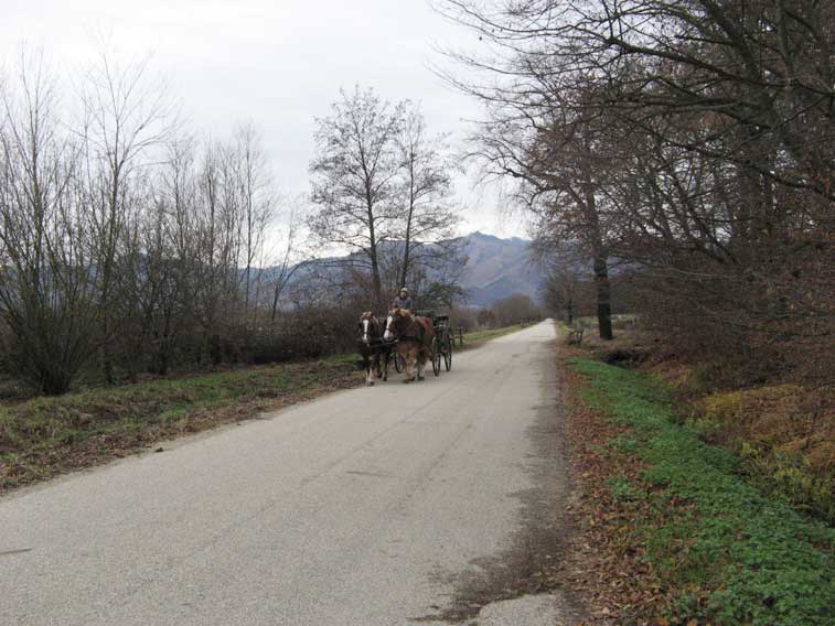 30 novembre 2012-Parco della Mandria