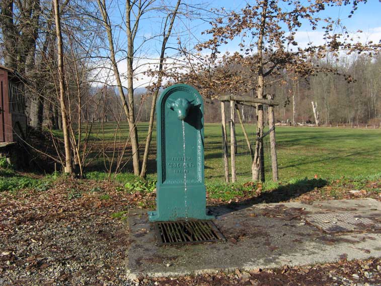 Parco della Mandria 2 Dicembre 2012-La tipica fontanella torinese(In dialetto &quot;Toret&quot;) ubicata all'ingresso del Ponte Verde