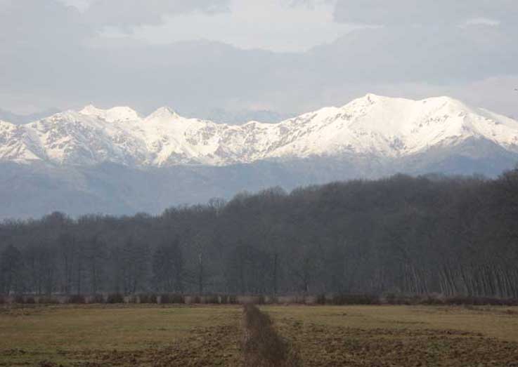 23 dicembre 2012-Le Alpi viste dal parco della Mandria