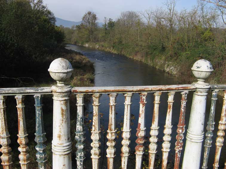 5 novembre 2013 Parco La Mandria-Il torrente Ceronda visto dal ponte Violino