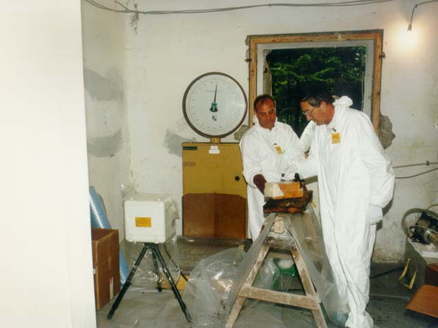 (foto tratta da www.arao.si)