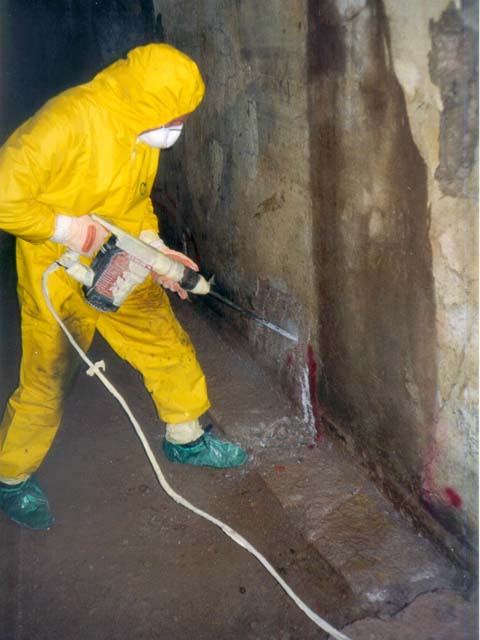 (foto tratta da www.arao.si)