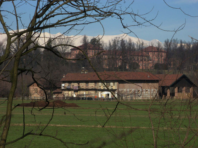 6 febbraio 2014 Parco La Mandria-Cascina Prato Pascolo e Castello