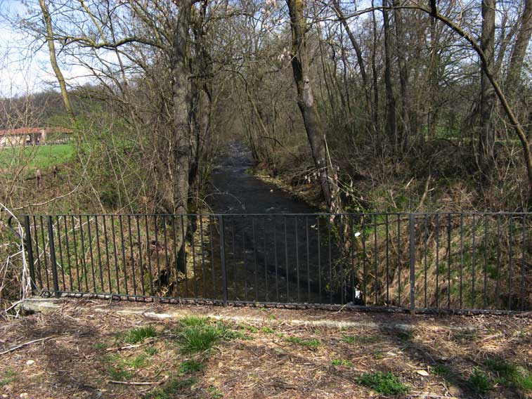 29 marzo 2014 Parco La Mandria-Il Rio Valsoglia