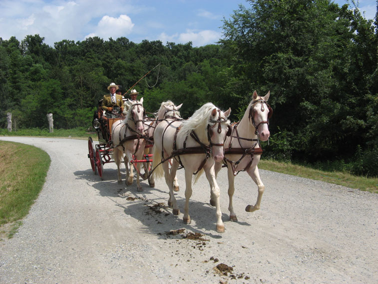 6 luglio 2014 Parco La Mandria