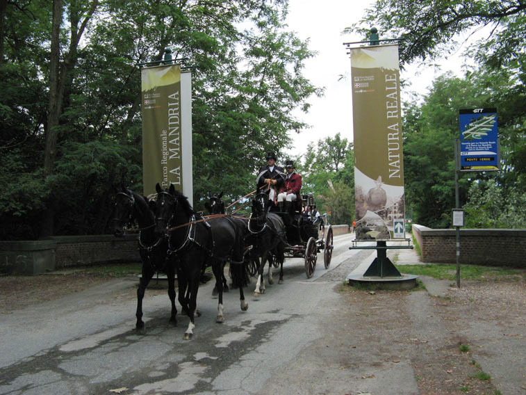 6 luglio 2014 Parco La Mandria