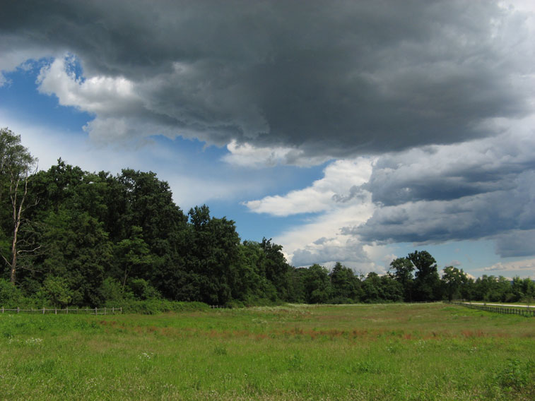 9 luglio 2014 Parco La Mandria-Aspettando il temporale