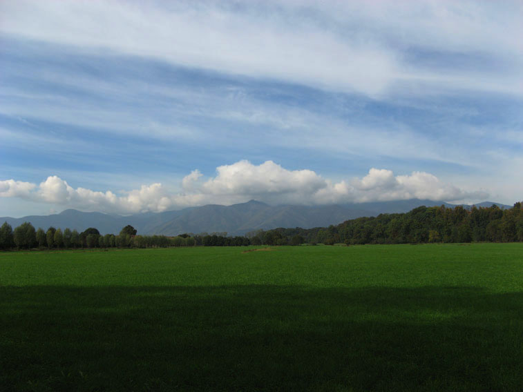 15 ottobre 2014 Parco La Mandria-Verde e Alpi