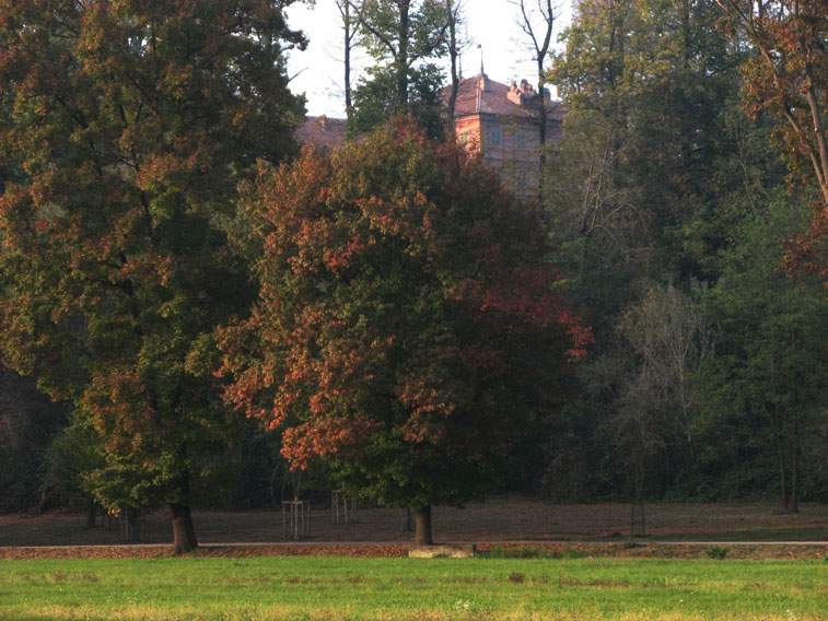 31 ottobre 2014 Parco La Mandria-Fra le fronde il Castello