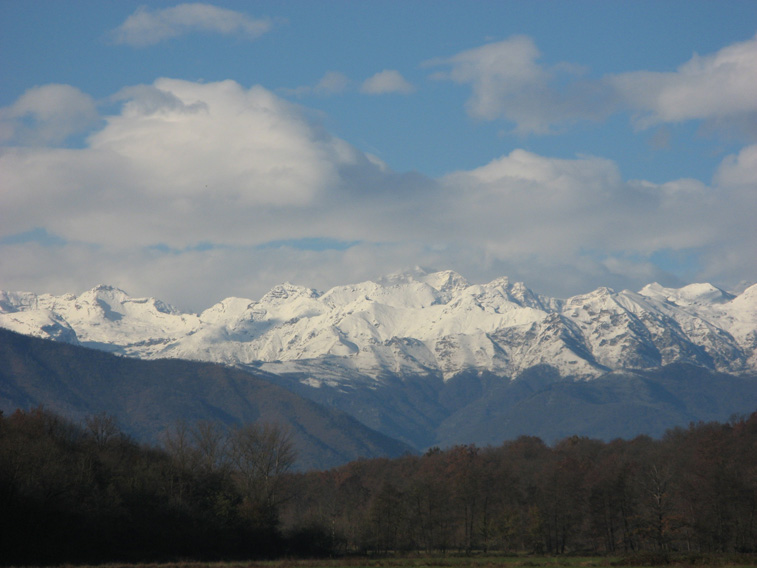 18 novembre 2014 Parco La Mandria-Verso le Alpi