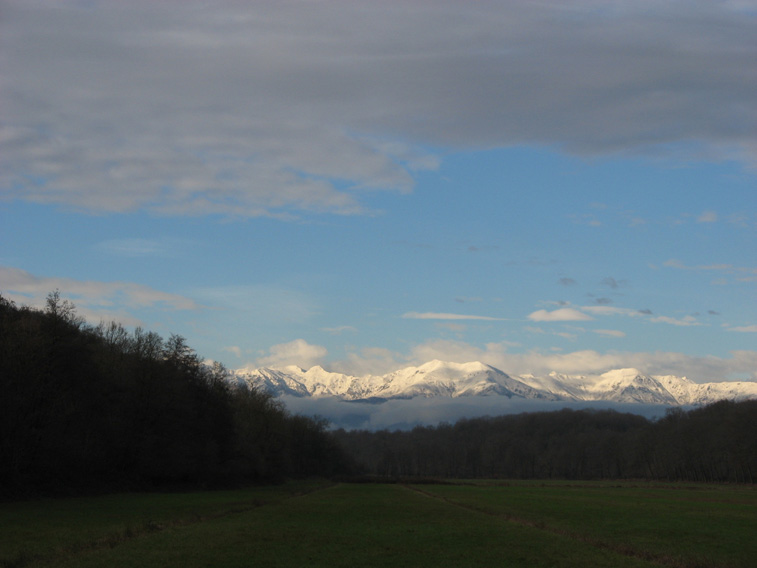 16 dicembre 2014 Parco La Mandria-Nuvole e Alpi