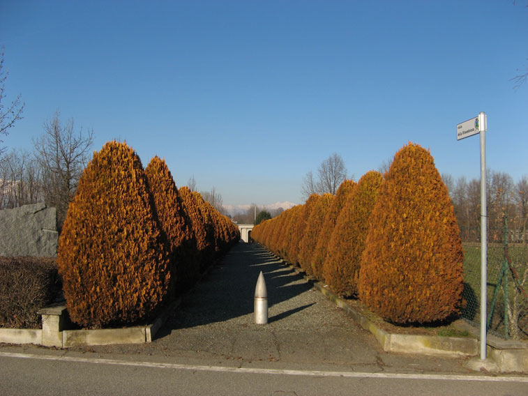 10 febbraio 2015 San Francesco al Campo-Viale della Rimembranza