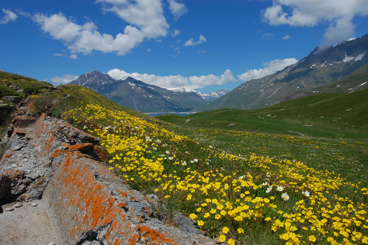 Moncenisio Batteria La Court-Fiori,lago,monti e  banchina fucilieri