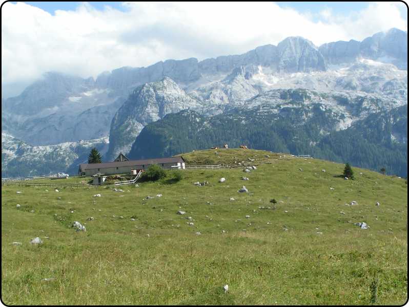 gruppo del Canin dall' altopiano del Montasio