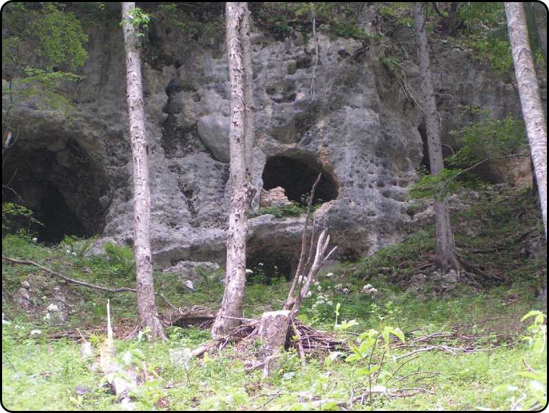 caverne per appostamenti e rifugio