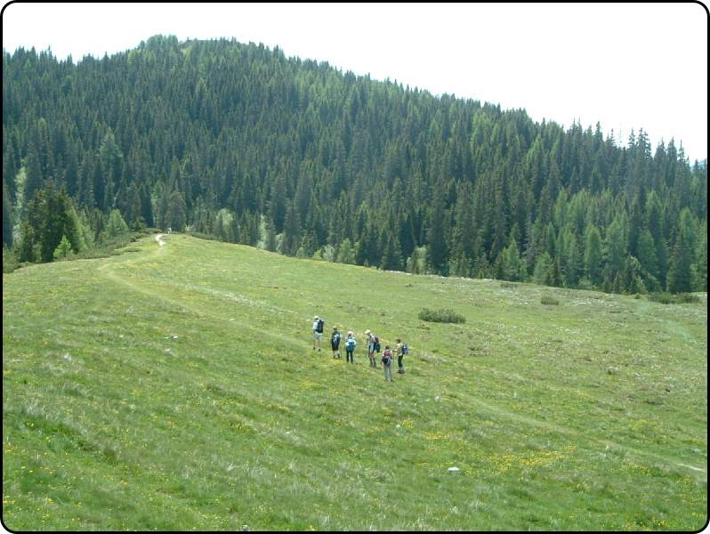 dal passo verso casera Rinfreddo , sulla cima si intrvvede un' opera del sistema difensivo di col Quaterna'