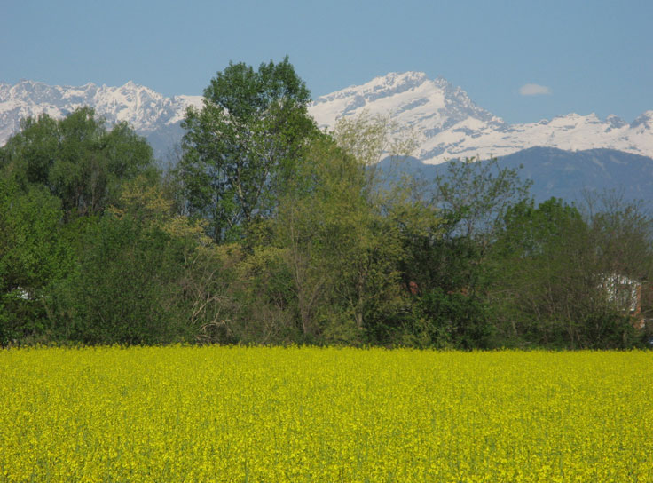 20 aprile 2015 San Francesco al Campo-Guardando le Levanne