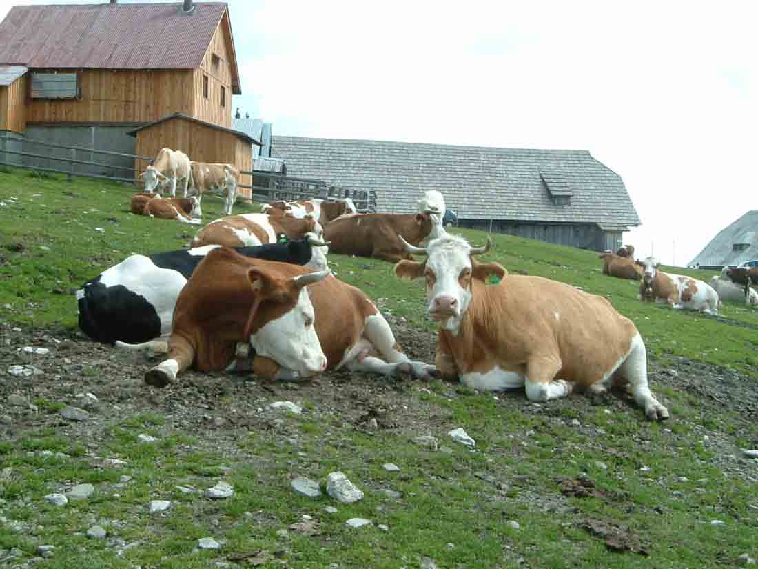 l' ora della siesta  x  i residenti