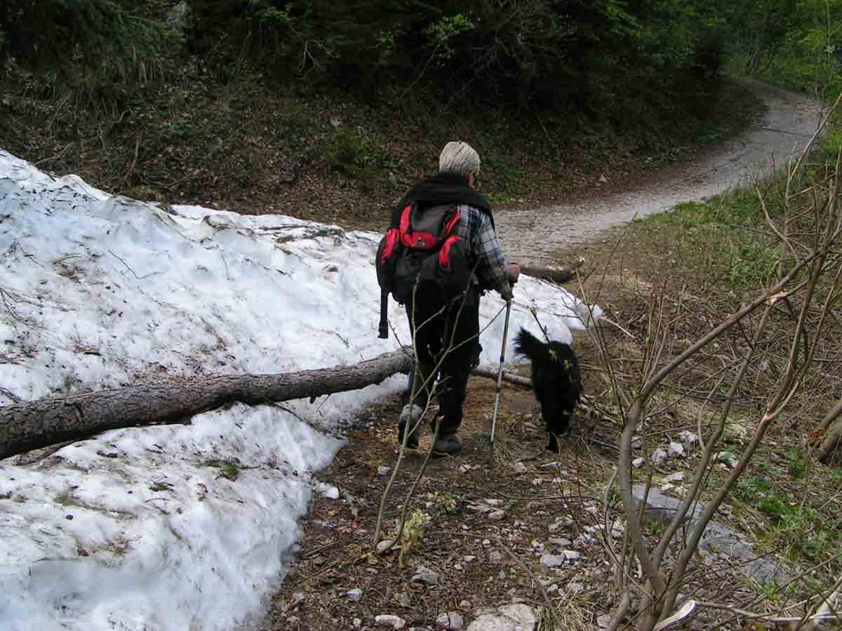 lungo il sentiero ancora innevato