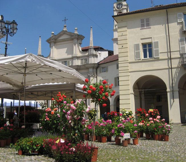 17 maggio 2015 Venaria Reale-Uno sguardo a piazza Annunziata e alla Festa delle Rose