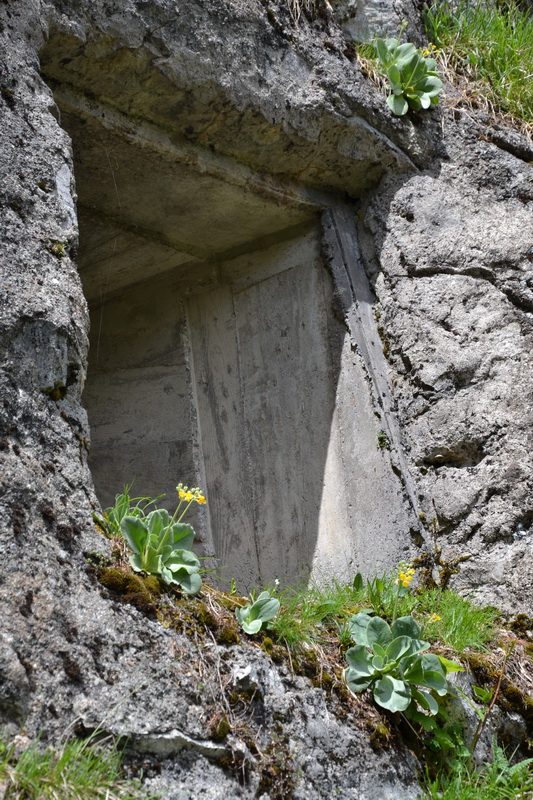 Caponiera &quot;..mettete dei fiori nei vostri cannoni..&quot;