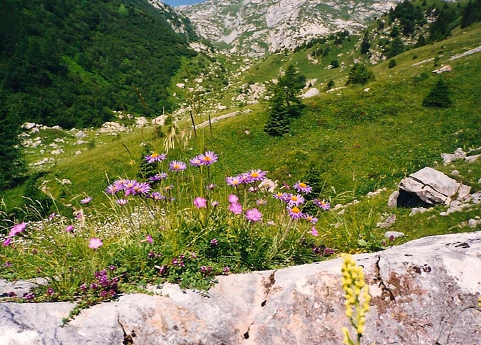 salendo alla Creta di Collinetta.jpg