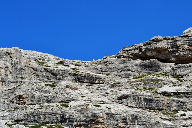 Il sentiero delle forcelle visto dalla stradina di accesso al Rifugio