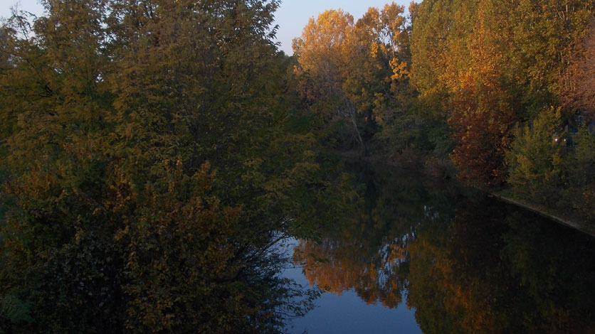 1° Novembre 2015 Venaria Reale-Riflessi autunnali sul torrente Ceronda