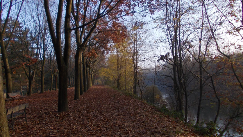 15 novembre 2015 Venaria Reale-Scorcio sul Lungo Ceronda