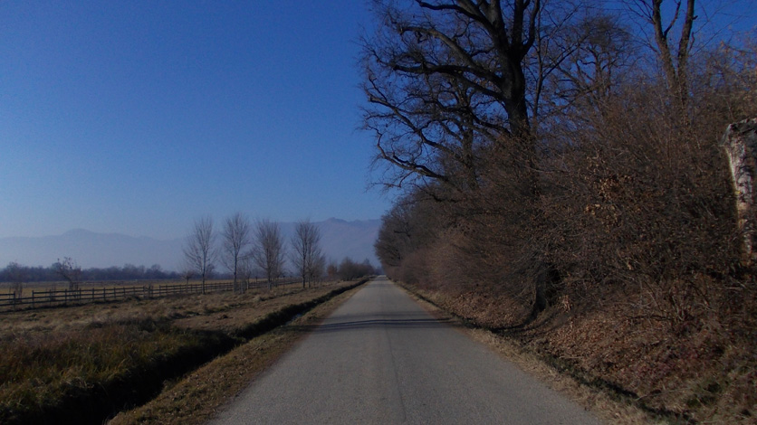 17 dicembre 2015-Le alpi viste dal Parco La Mandria