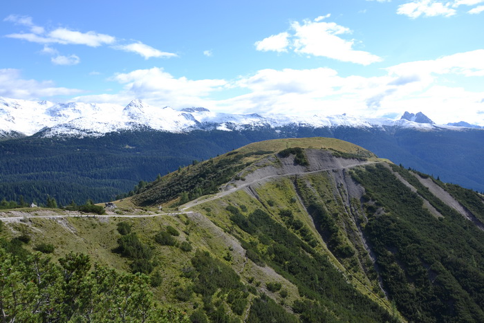 La starda a Cima dei Colesei (mt.1971)