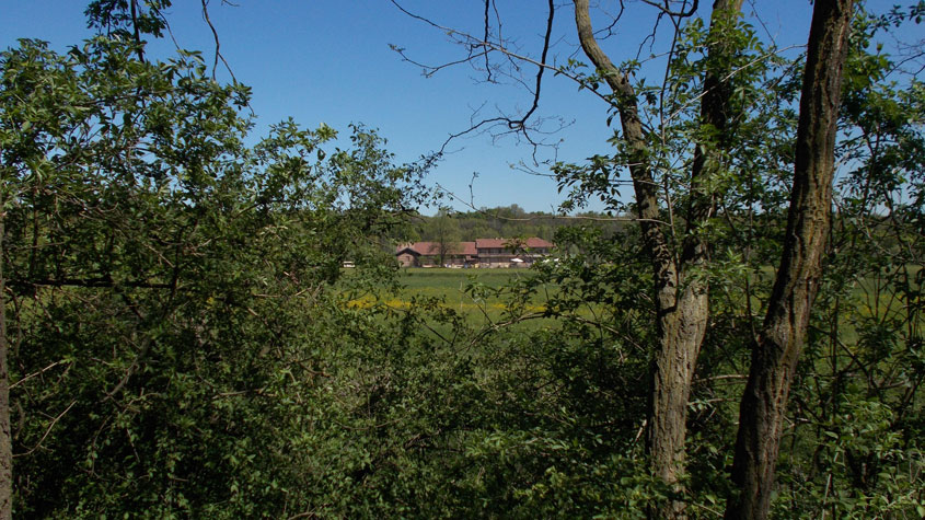 19 aprile 2016 Parco La Mandria-Scorcio verso la cascina Prato Pascolo