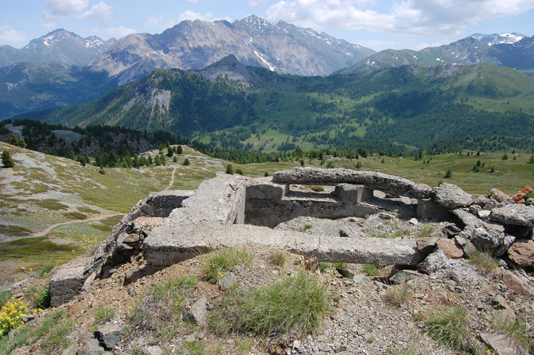 NASn.3-Sullo sfondo il Monte Courbion e il Col Begino