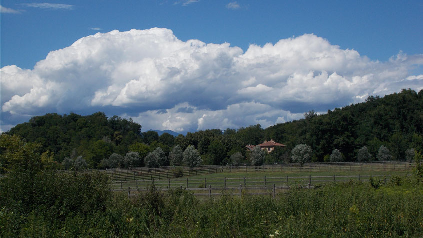 14 luglio 2016 Parco La Mandria-Scorcio verso la Rubbianetta