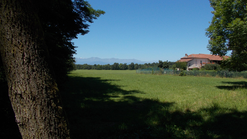 17 luglio 2016 Parco La Mandria-Scorcio verso la Cascina Fornace