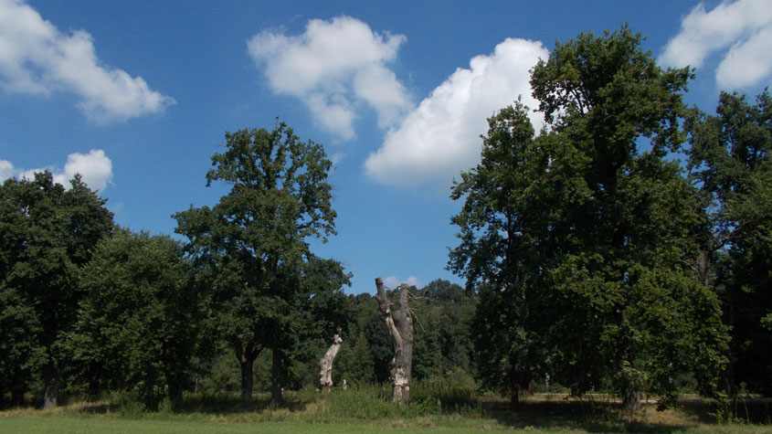 21 agosto 2016 Parco La Mandria-Scorcio