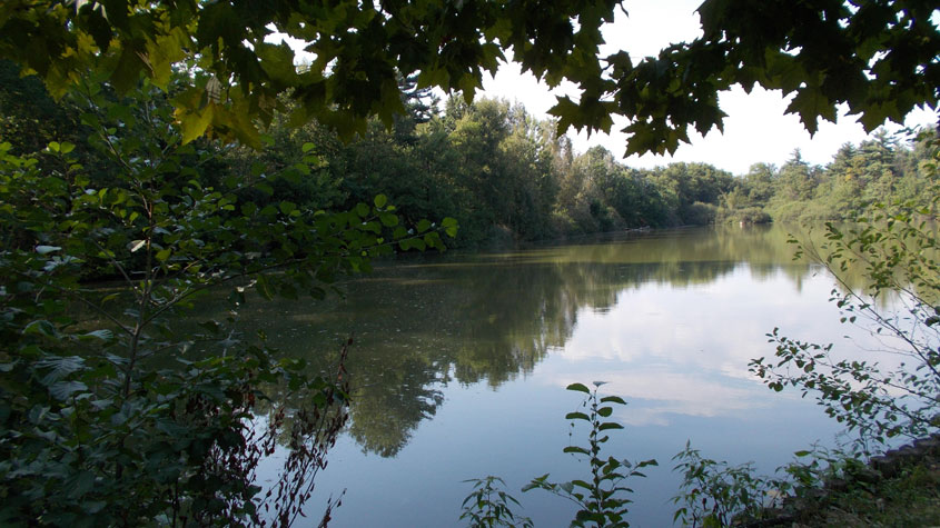 28 agosto2016 Parco La Mandria-Scorcio sul lago Cristoforo