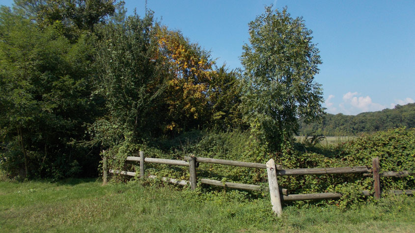 26 settembre 2016 Parco La Mandria-Scorcio