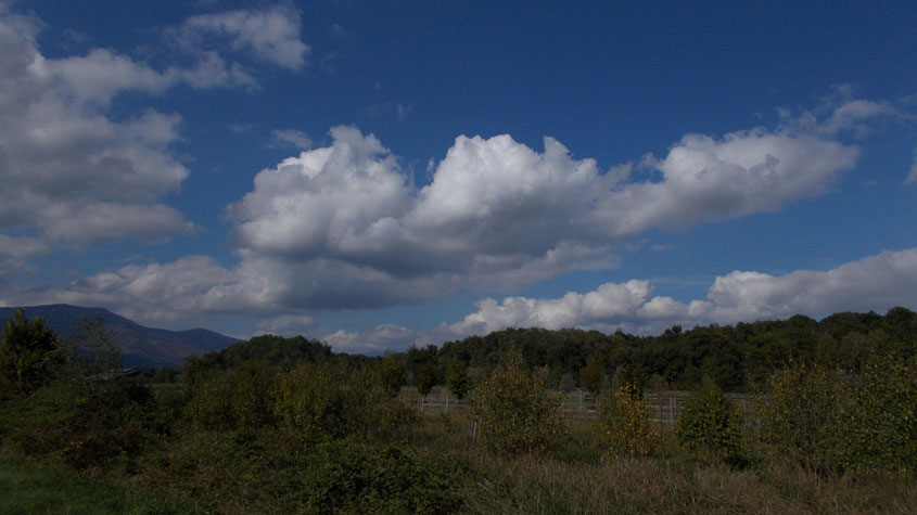 10 ottobre 2016 Parco La Mandria-Scorcio