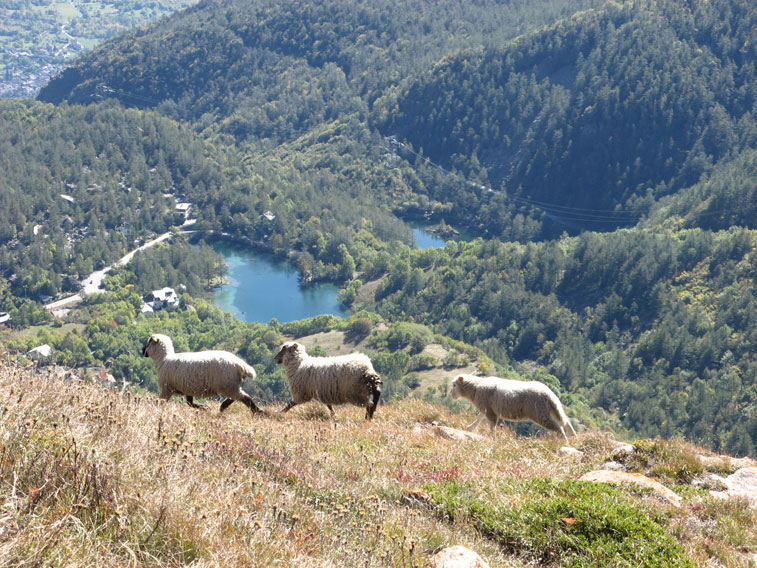 Moncenisio-Zona Batteria Paradiso-Sullo sfondo i laghetti e il Comune di Moncenisio