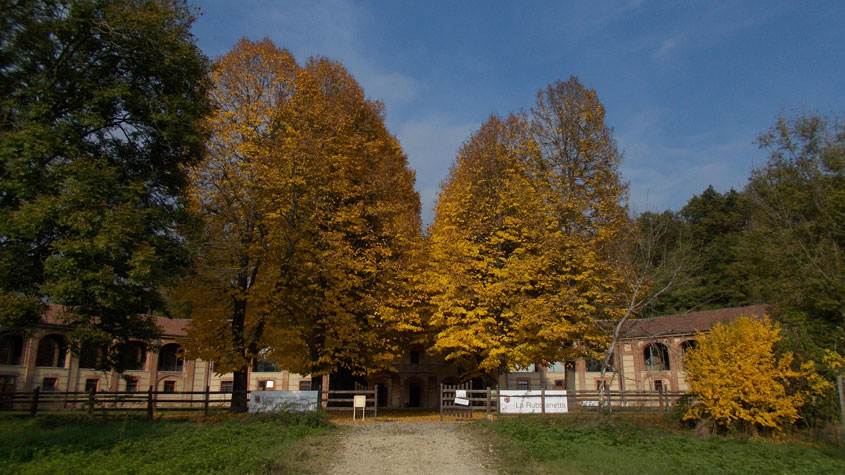 28 ottobre 2016 Parco La Mandria-Cascina Rubbianetta