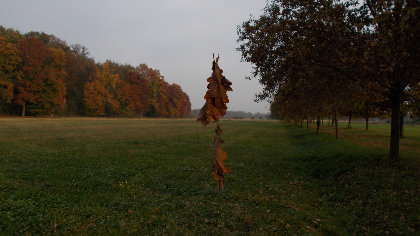 4 novembre 2016 Parco La Mandria-Scorcio