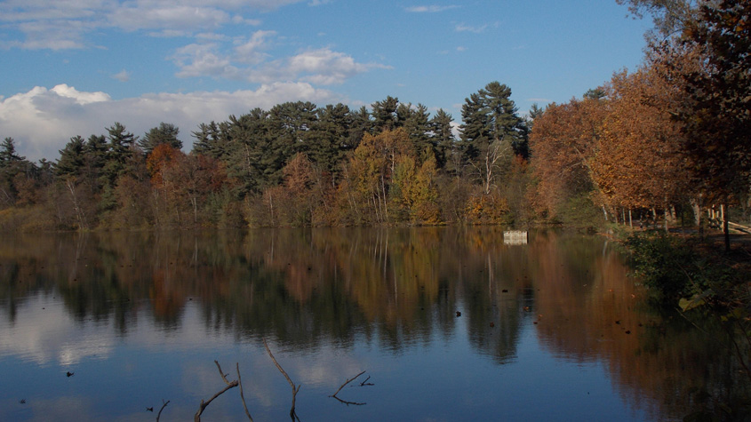 8 novembre 2016 Parco La Mandria-Riflessi autunnali sul lago Cristoforo