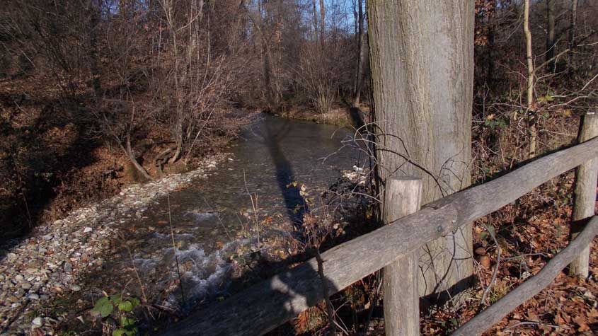 7 dicembre 2016 Parco La Mandria-Scorcio sul Rio Valsoglia