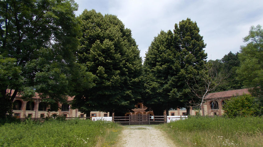 21 giugno 2016 Parco La Mandria-Solstizio d'estate