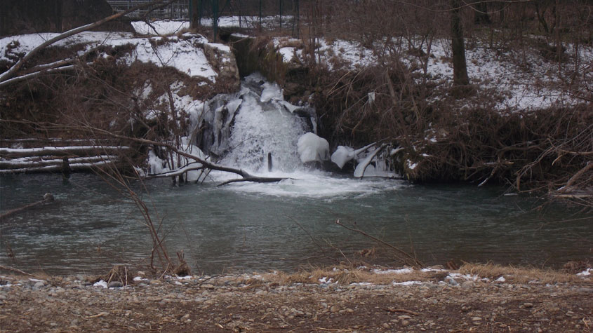 26 gennaio 2017 Parco La Mandria-Scorcio sul torrente Ceronda