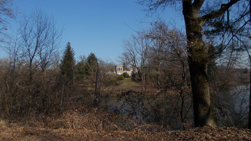 16 febbraio 2017 Parco La Mandria-Scorcio verso Villa Laghi